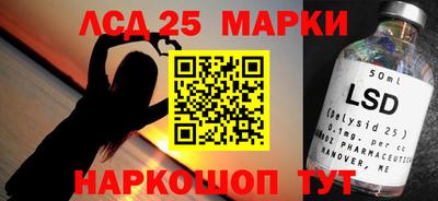гидра Заводоуковск