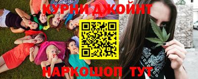 гидра Заводоуковск