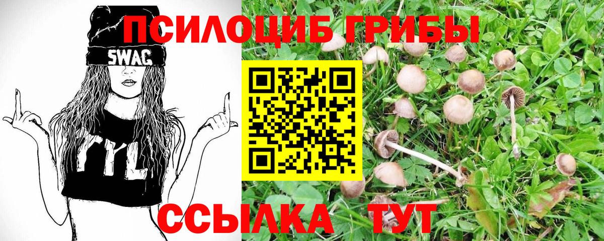 Лысьва  Галлюциногенные грибы Psilocybe  Вход с VPN 